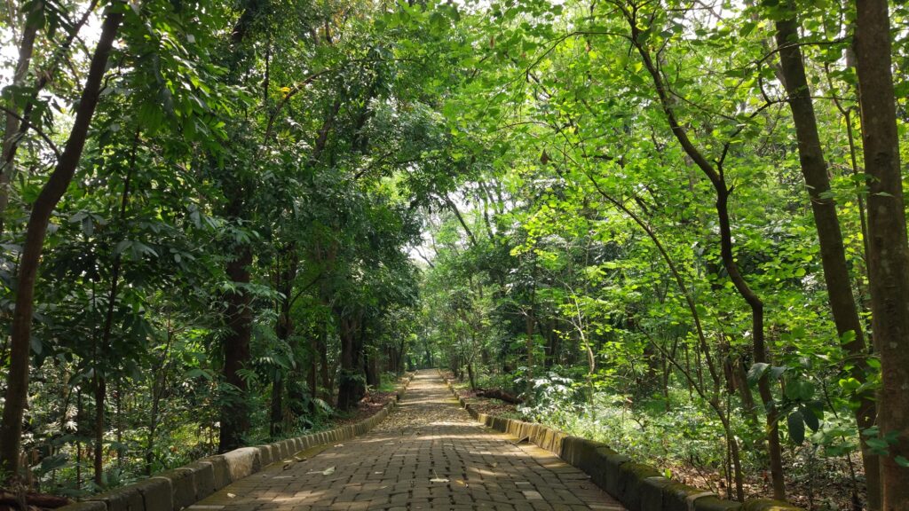 Pemandangan hijau di Hutan Kota Srengseng dengan danau kecil yang tenang di tengah Jakarta.