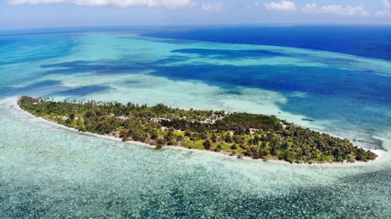 Wakatobi, Sulawesi Tenggara: Kehidupan bawah laut di Wakatobi dengan terumbu karang berwarna-warni.